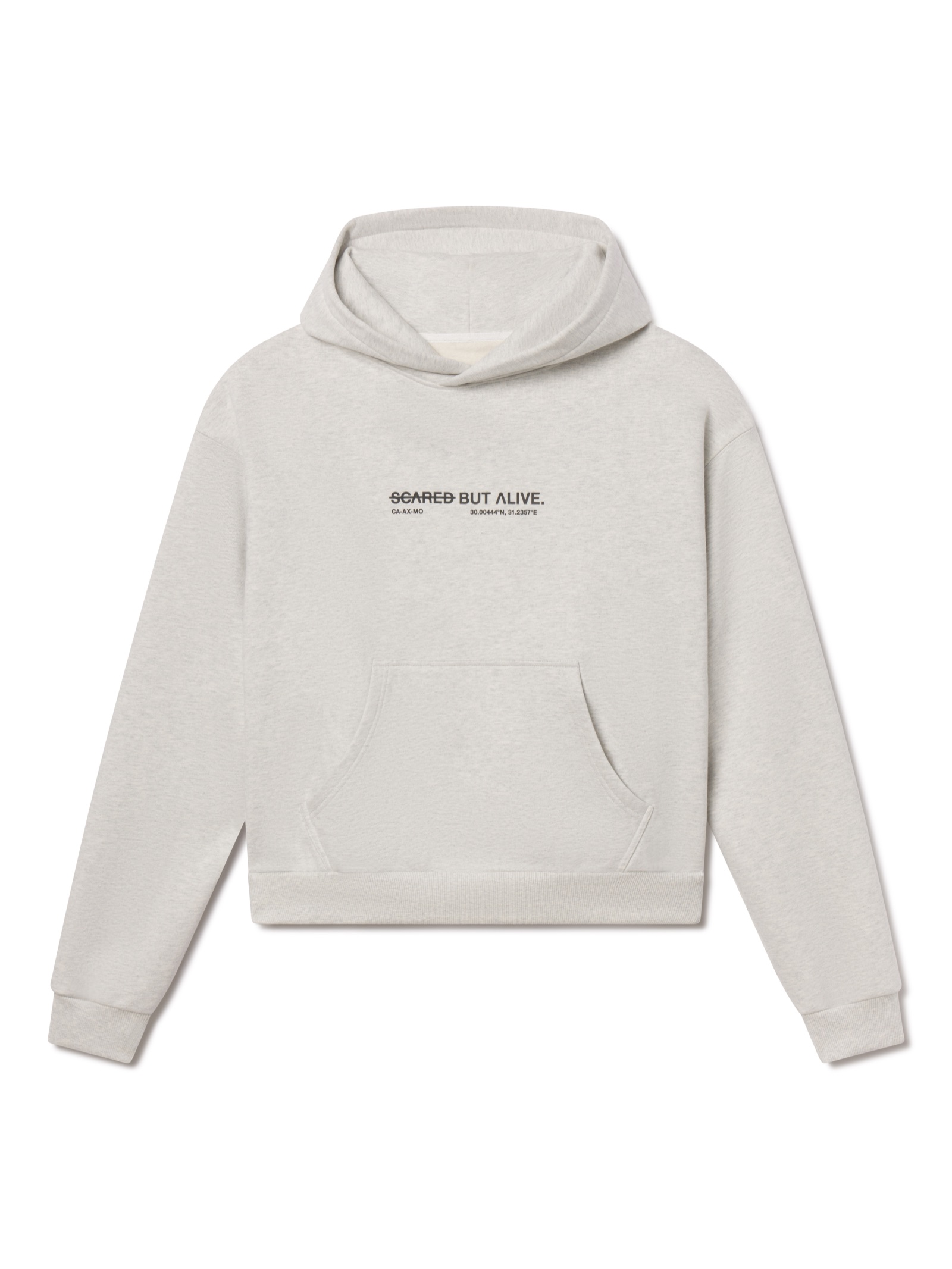 LA Hoodie gray flat lay